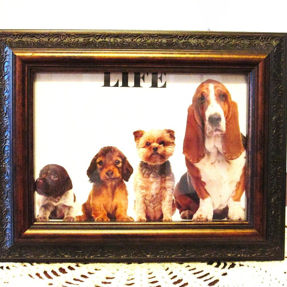 Faux wood ornate design decorative photo frame